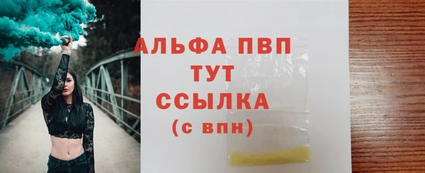 трава Няндома