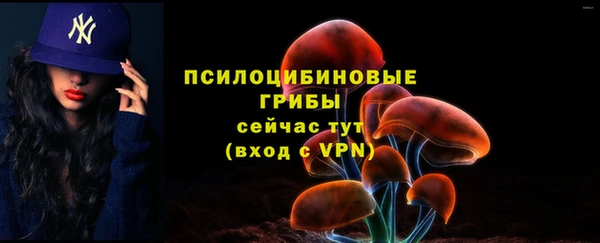 синтетический гашиш Осташков
