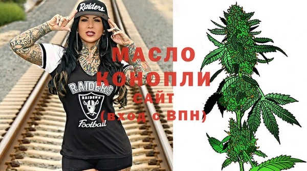 спайс Дмитриев