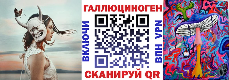 магазин    Отрадный  Псилоцибиновые грибы Psilocybine cubensis 